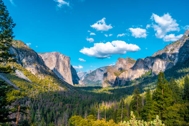 vue fascinante de yosemite depuis le point de vue tunnel view, parc national de yosemite. états-unis"t - yosemite valley photos et images de collection