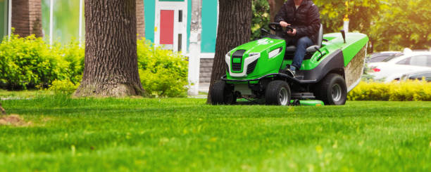 gärtner fahren auf einem rasen mähen traktor fährt und mäht eine wiese mit grünem gras. - lawn mower tractor gardening riding mower stock-fotos und bilder