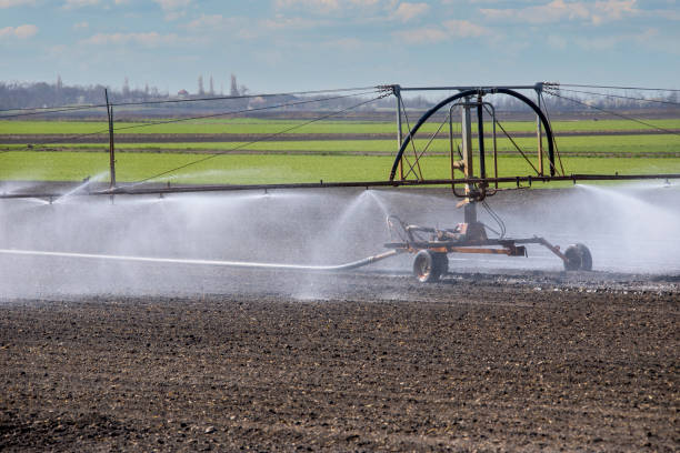 regadío, agricultura en burgenland, austria, - ackerfurchen fotografías e imágenes de stock