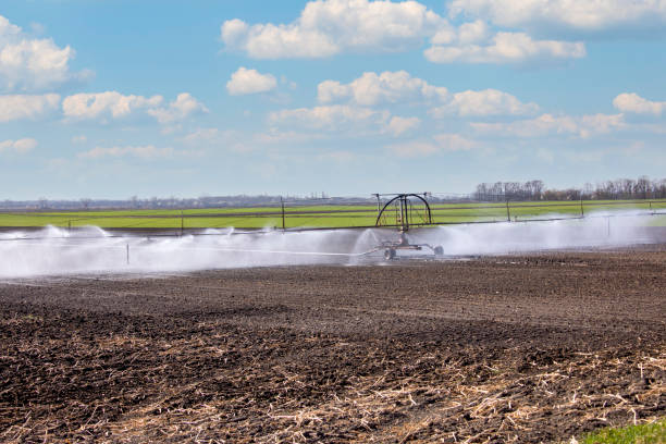 regadío, agricultura en burgenland, austria, - ackerfurchen fotografías e imágenes de stock