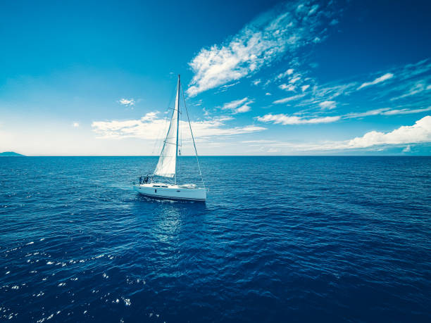 istock Sailing with sailboat, view from drone 1310605817