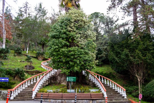 sorgenti termali termali e terme città. yalova, turchia - yalova foto e immagini stock