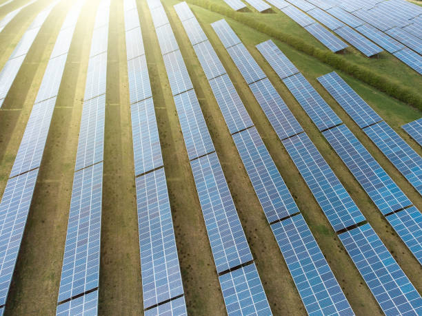 istock Sun rising over array solar panel farm in rows over sunny field. Renewable green electricity energy generation with bright sunshine fuel warming landscape. 1310612210