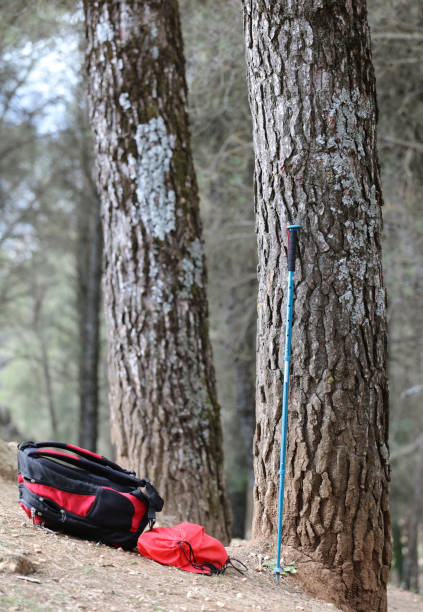 istock red and black mountain backpack, with sports pole in the forest, 1310612931