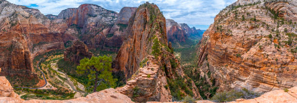 Panoramic of the Zion Canyon seen from the Angels Landing Trail high up in the mountain in Zion National Park, Utah. United States"t Panoramic of the Zion Canyon seen from the Angels Landing Trail high up in the mountain in Zion National Park, Utah. United States"t zion stock pictures, royalty-free photos & images