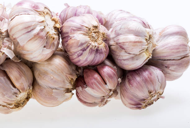 cadeia de alho isolado no fundo branco - garlic hanging string vegetable - fotografias e filmes do acervo