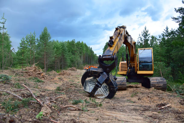 istock Excavator Grapple during clearing forest for new development. Tracked Backhoe with forest clamp for forestry work 1310614387