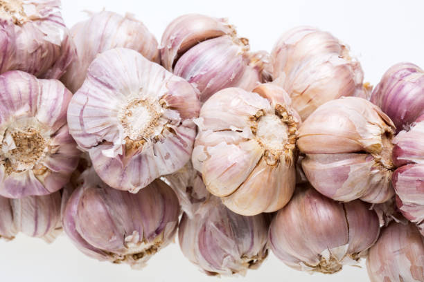 string of garlic isolated on white background - garlic hanging string vegetable imagens e fotografias de stock