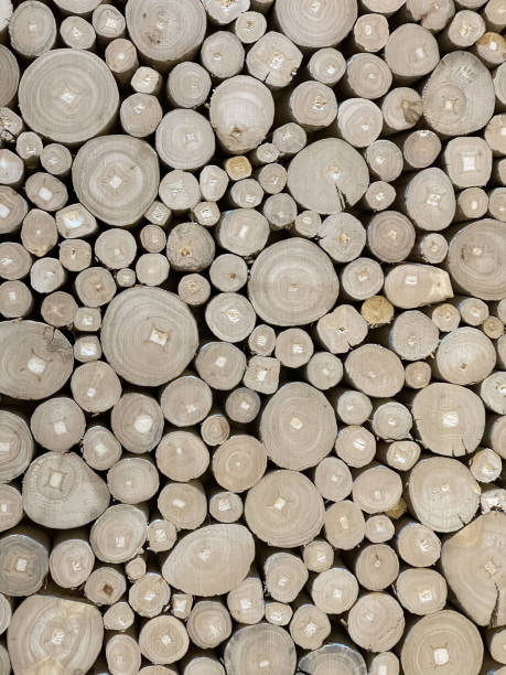 istock Round design wooden pieces background 1310614635