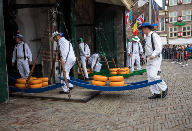 Carriers walking with many cheeses in the famous Dutch cheese market in Alkmaar Alkmaar, Netherlands - April 21, 2017: Carriers walking with many cheeses in the famous Dutch cheese market in Alkmaar, The Netherlands. The event happens in the Waagplein square. cheese dutch culture cheese making people stock pictures, royalty-free photos & images