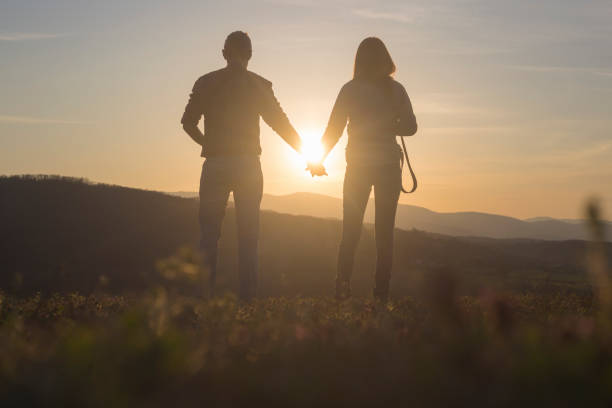 istock Heterosexual couple holding hands and looking at sunset 1310618174
