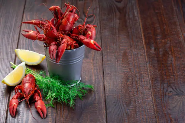 Photo of Crayfishes in metal bucket served with dill and lemon, dark wooden background, horizontal, copy space
