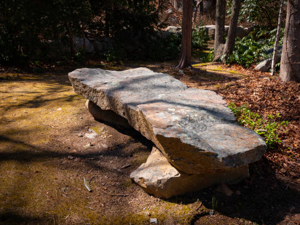 Glacial Moraine Stone in the Park on Cape Cod, Massachusetts