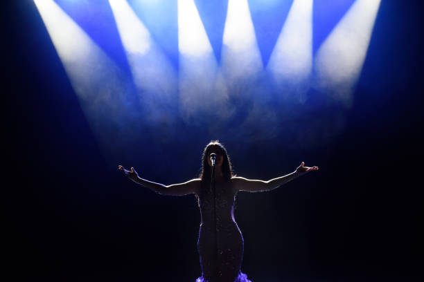 istock Singer performing on stage with lights. Concert. View from the auditorium. 1310628902