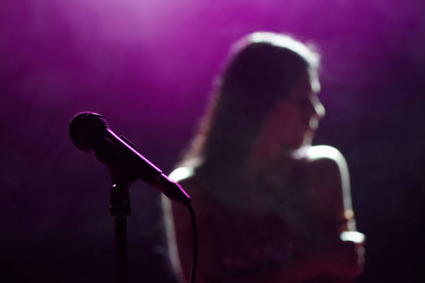 istock Silhouette of singer on stage. Dark background, smoke, spotlights. 1310629018