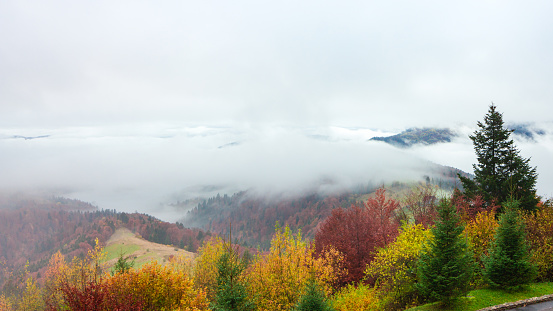 Fantastic colorful mountain landscape with cloud. Ukraine, Carpathian Mountains.