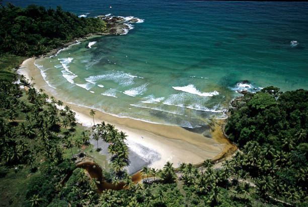 Itacare, state of Bahia, Cocoa cost. stock photo