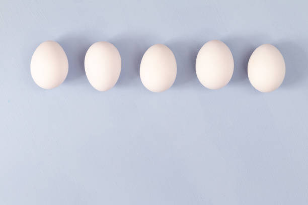 istock group of white chicken eggs on light blue background 1310639586