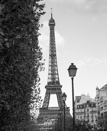 The Eiffel Tower is viewed between an ivy wall and a row of beautiful iron lampposts.