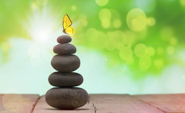 istock butterfly on black pile stones 1310642723