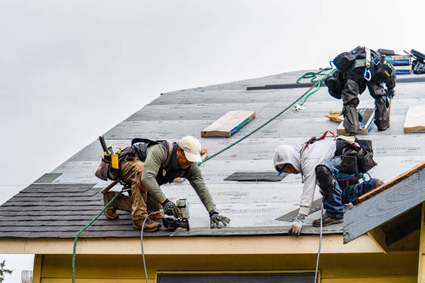 tripulación instala nuevas tejas en el techo en un día lluvioso - shingles roof roofer wood shingle fotografías e imágenes de stock