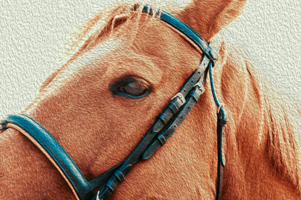 istock Close up beautiful horse head on light background 1310645661