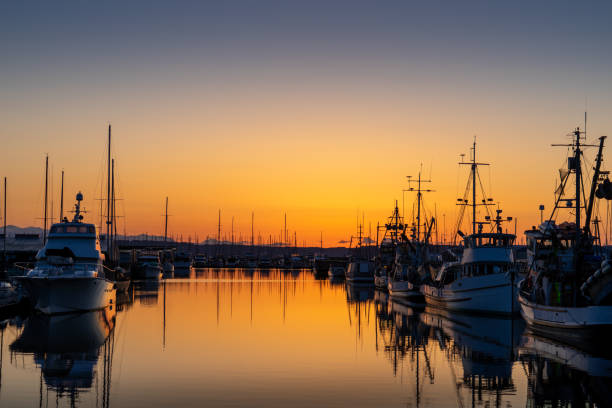 puesta de sol sobre barcos amarrados en port gardner everett washington - snohomish county fotografías e imágenes de stock