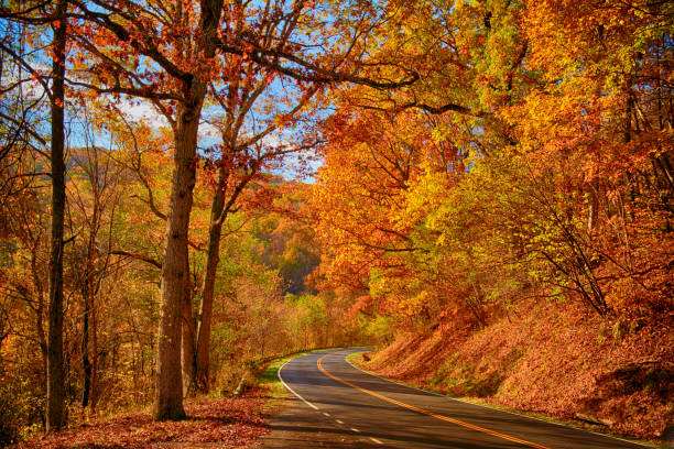 Fall colors, Shenandoah National Park Autumn images shenandoah national park stock pictures, royalty-free photos & images