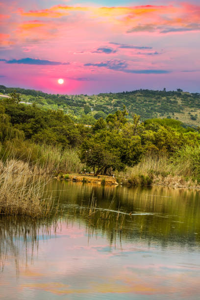 Austin Roberts Bird Sanctuary on a lake sky reflection during sunset in Pretoria South Africa