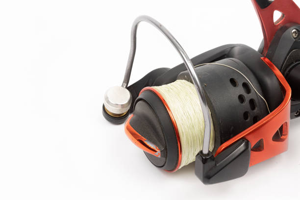 istock Fishing Reel above white background with copy space 1310651711