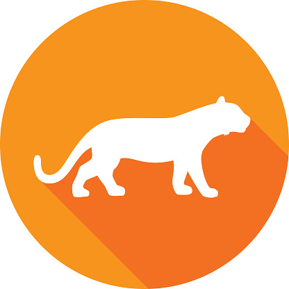 Vector illustration of an orange tiger icon in flat style.