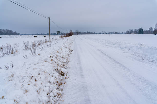 istock Slippery Countryside Road, Snow Covered Ground on Cloudy Winter Day 1310655399