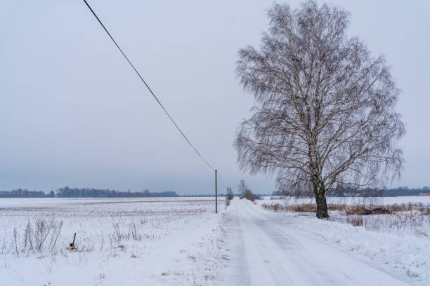 istock Snow Covered Empty Road on Cloudy Winter Day, Power Lines on Roadside - Copy Space 1310655405