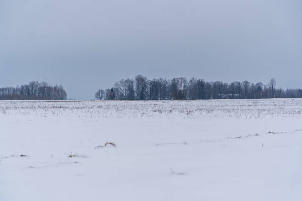 istock White Snow Covering Ground Background on Cloudy Day with Skyline 1310655427