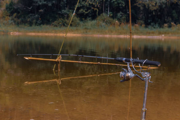 istock Fishing rod alone by the lake 1310656849