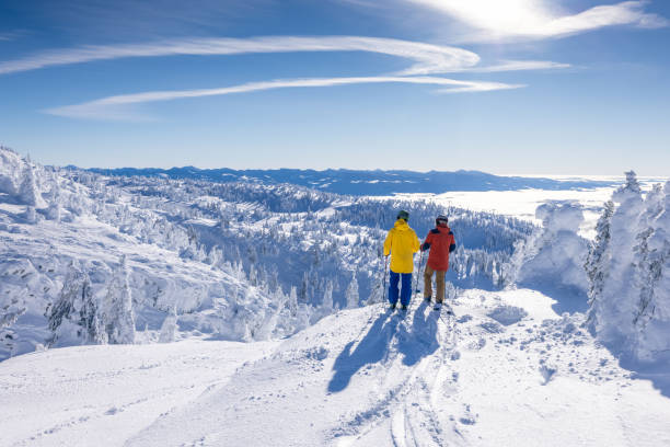 вид на горнолыжный курорт - skiing british columbia sports helmet tree стоковые фото и изображения