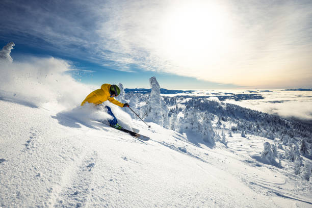 sci in polvere - downhill skiing foto e immagini stock