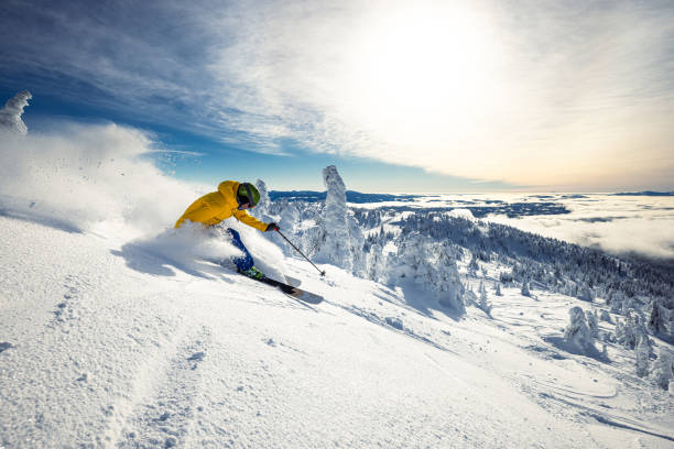 Powder skiing stock photo