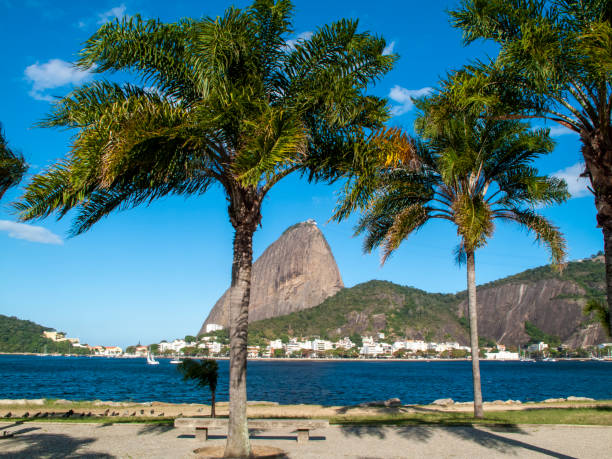 istock Flamengo Park in Rio de Janeiro 1310658064