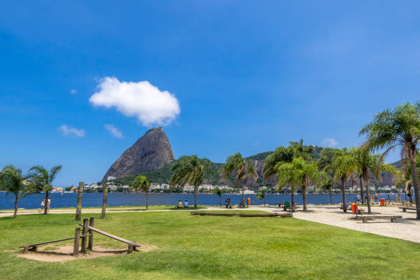 istock Flamengo Park in Rio de Janeiro 1310658103