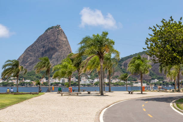 istock Flamengo Park in Rio de Janeiro 1310658114