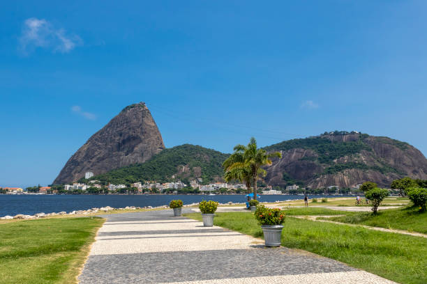 istock Flamengo Park in Rio de Janeiro 1310658128