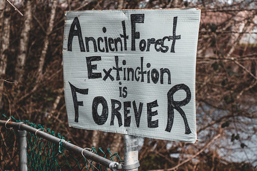 Vista de la extinción del bosque antiguo de signos está para siempre unido a la valla en Courtenay, Canadá. Concepto de bosques moribundos photo