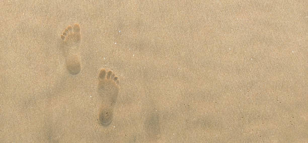 istock Closeup of Footprints in seashore with a selective focus on footprints. 1310670236