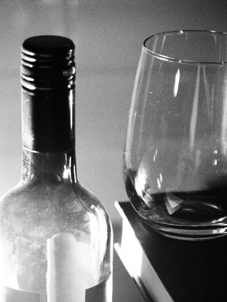 istock Relaxing night of wine and reading 1310679088