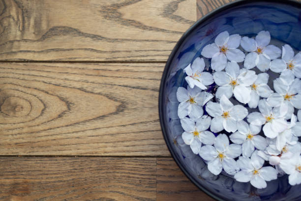 istock Petals floating in a blue bowl filled with spring cherry blossoms and water 1310680711