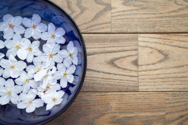 istock Petals floating in a blue bowl filled with spring cherry blossoms and water 1310681429