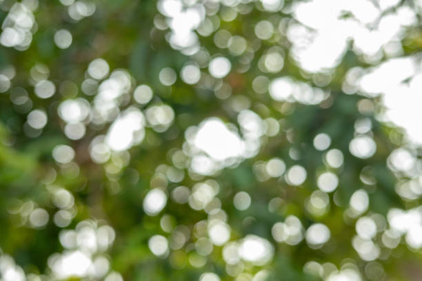 istock Beautiful nature blurry green image for background. 1310681626