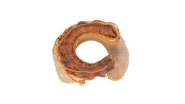 istock Sweet tamarind isolated on white background. 1310683100