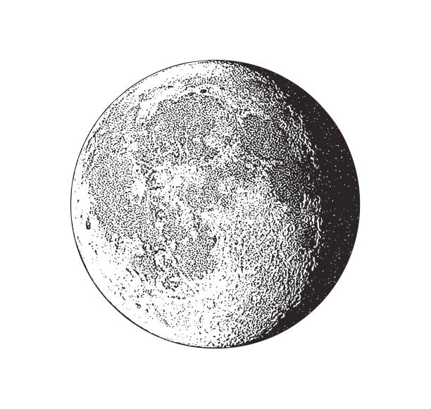 illustrations, cliparts, dessins animés et icônes de pleine lune - lune